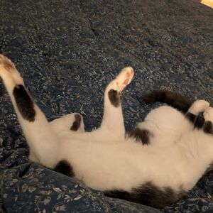 Meet your Posher, Krystallynn